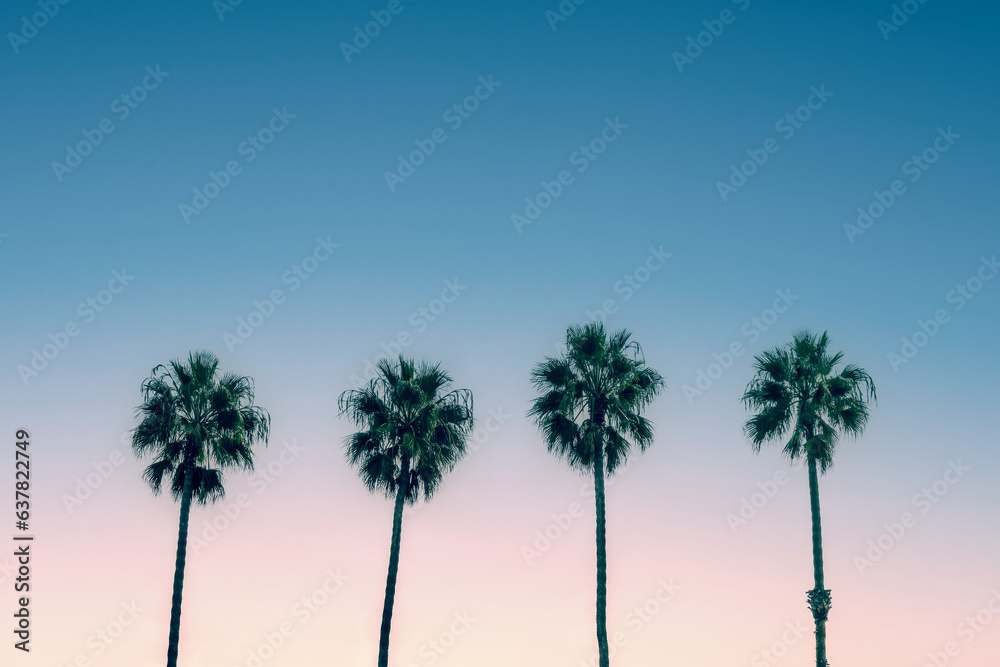 Palm trees and blue sky, vintage California travel summer vibes