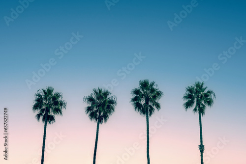 Obraz na płótnie Palm trees and blue sky, vintage California travel summer vibes w salonie