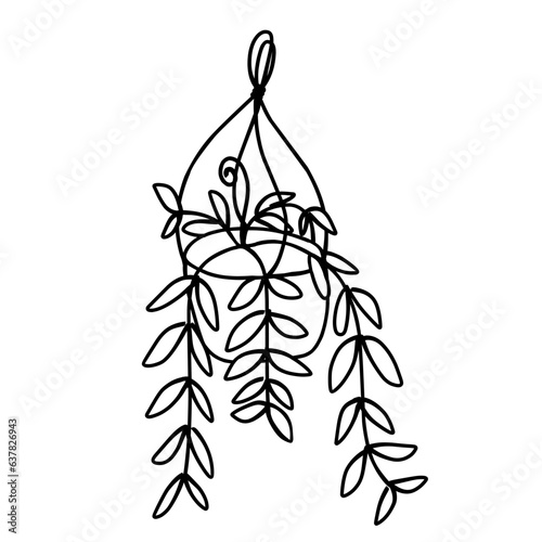 Hanging potted plant