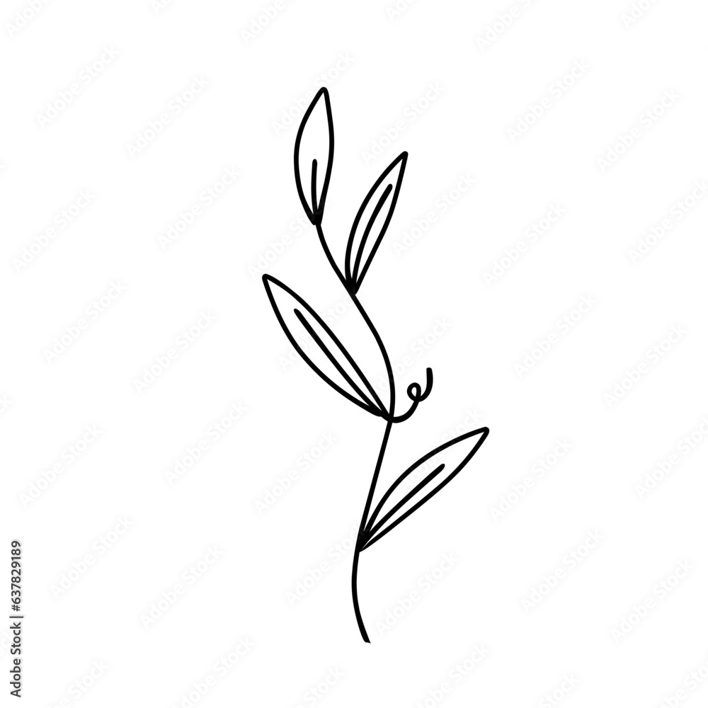 Botanical line.plant outline. Botanical line.plant outline.