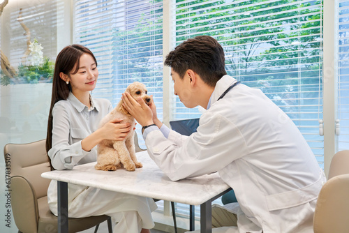 한국 의료 메디컬 푸들 강아지 애완견 애완동물 펫샵 동물병원 수의사 상담 진료받고 있는 견주 손님 고객 모습