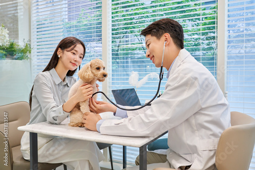 한국 의료 메디컬 푸들 강아지 애완견 애완동물 펫샵 동물병원 수의사 상담 진료받고 있는 견주 손님 고객 모습