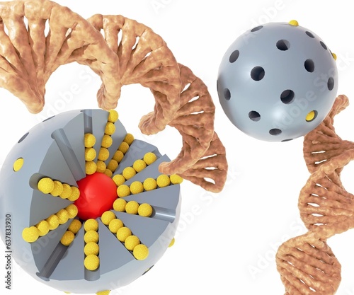 Mesoporous silica nanoparticle with DNA conjugation 3d rendering photo