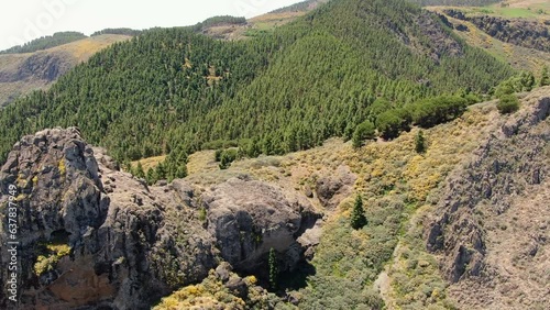 Roque Saucillo: aerial view passing near the rock formation and a Canarian pine forest in the background. On a sunny day on the island of Gran Canaria. photo