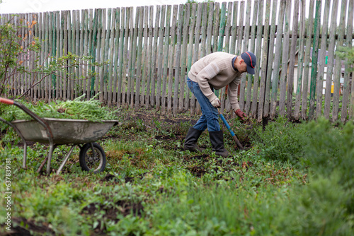 Photography A young man uproots weeds in the garden with a shovel and puts weeds in a cart