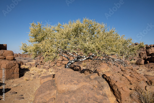 Giant Playground à Keetmanshop, Namibie photo