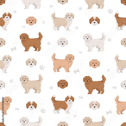 Maltipoo seamless pattern. Maltese Poodle mix. Different coat colors set