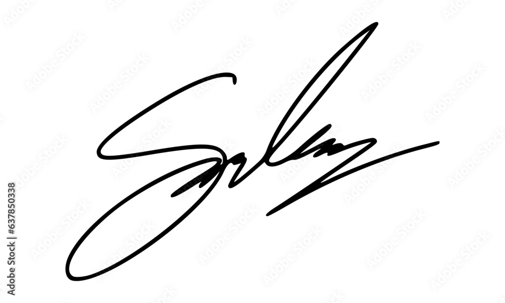 Abstract Signature Idea Starting With Letter S for Document. Vector with Transparent Background. Abstract Signature Idea Starting With Letter S for Document. Vector with Transparent Background.