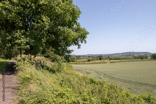 Rural landscape in the English summertime.