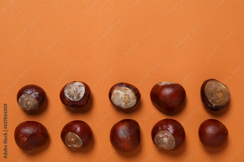 Fresh chestnut fruits on an orange background Fresh chestnut fruits on an orange background