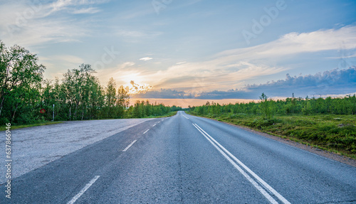 Asphalt road in tundra landscape with low trees during beautiful sunset © Denis