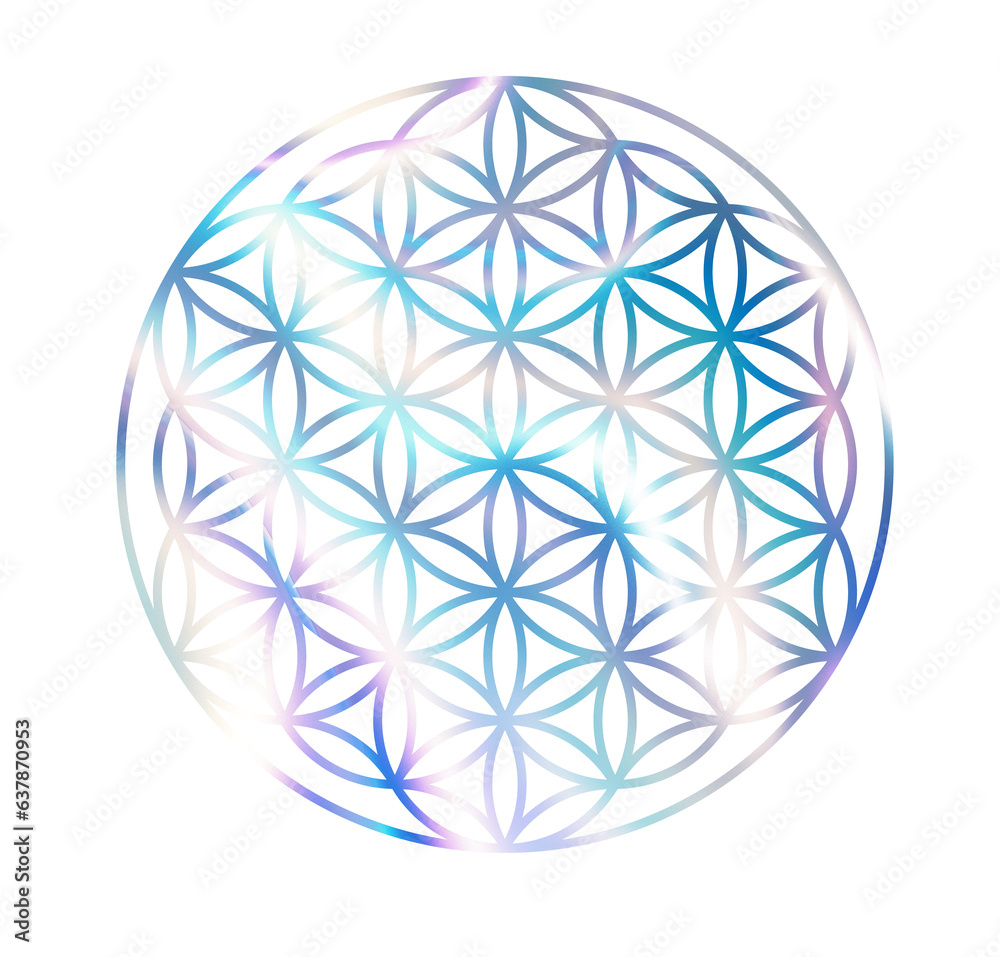 flower of life cosmos style flower of life cosmos style