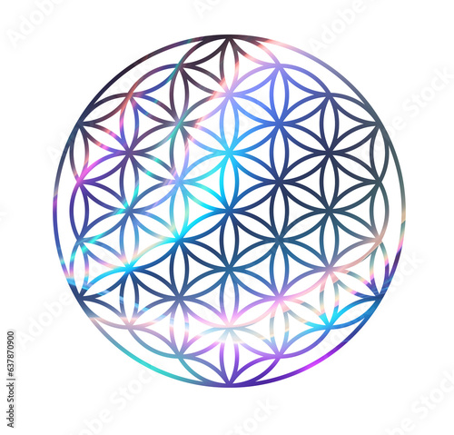 flower of life cosmos style