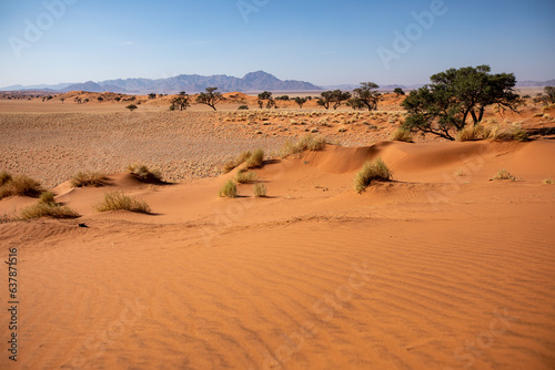 Désert de dunes au porte du Namib, Sud-Est de la Namibie