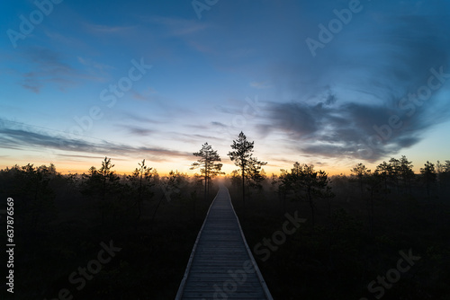 Wooden hiking trail in viru swamp in the early morning at sunrise in summer.