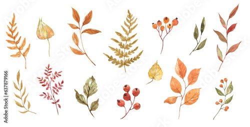Fall foliage  watercolor illustration. Red  orange  and brown tree leaves. Set of hand-drawn autumn plants. Natural elements. PNG clipart.