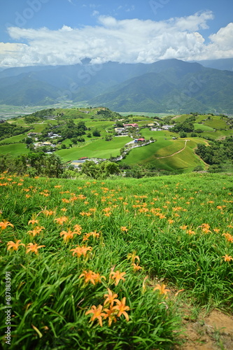Canvas Print Focus on the background houses (aka small Swiss) against the blurred foreground flowers