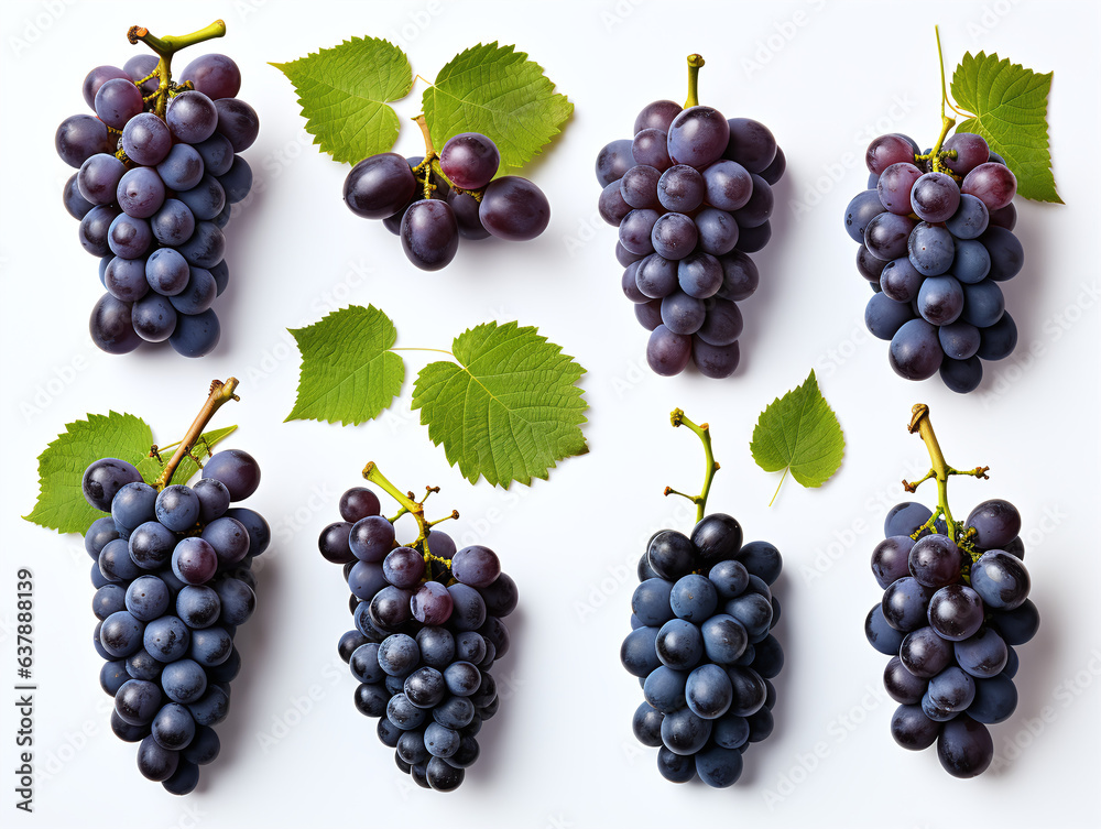 set of grapes isolated on white set of grapes isolated on white