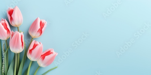 Top view tulip flowers on light blue blank paper background, Copy space, generative ai. Mother's Day Concept. Feminine concept, generative ai #637888782