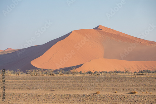 Dunes dans le d  sert du Namib  Namibie