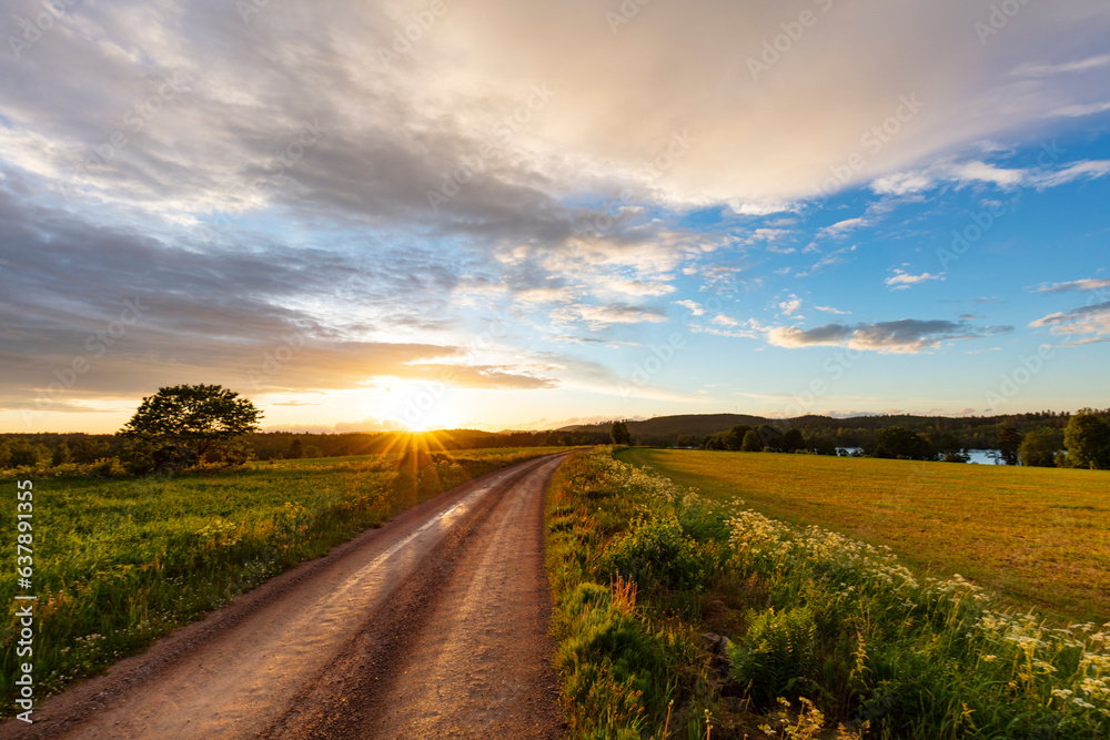 View of rural landscape with dirt track at sunset View of rural landscape with dirt track at sunset