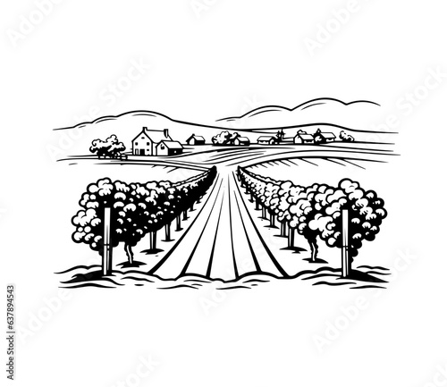 Vineyard landscape sketch. Hand-drawn vintage vector illustration. Rows of vineyard grape plants and winery farmhouse on the background in graphic style landscape engraving.
