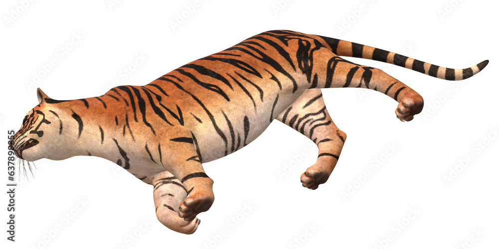 Obraz premium Tiger isolated on a Transparent Background