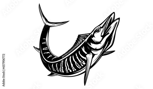 Vector Illustration of a wahoo. Acanthocybium solandri. A scombrid fish jumping up viewed from the side set on isolated white background done in retro style. photo