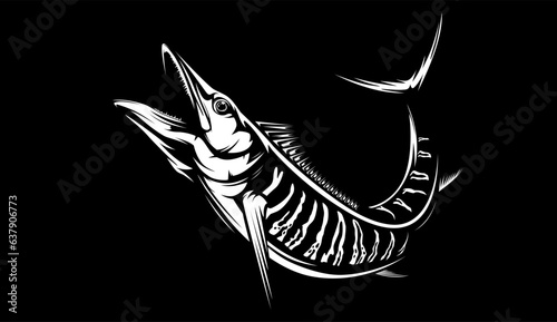Vector Illustration of a wahoo. Acanthocybium solandri. A scombrid fish jumping up viewed from the side set on isolated white background done in retro style.