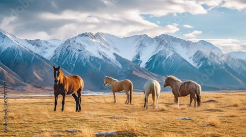 Horses in a pasture near mountains in Kazakhstan photo