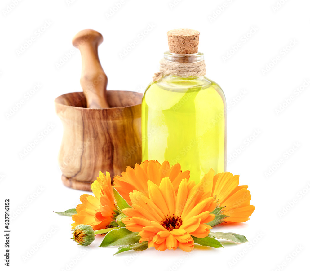 Calendula. Flowers isolated on white background. Calendula with essencial oil. Calendula. Flowers isolated on white background. Calendula with essencial oil.