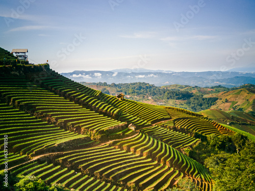 Panyawuyan terraces, enchanting natural beauty in Majalengka, West Java. With fresh mountain air and cool air, it makes anyone who is here calm and relaxed.