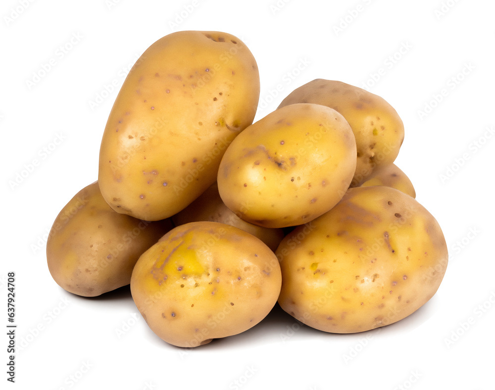 fresh potatoes isolated fresh potatoes isolated
