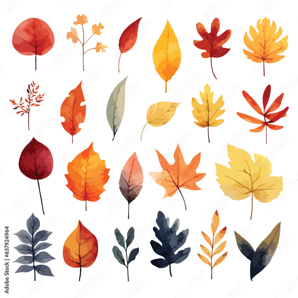 autumn leaves collection, set of autumn pumpkins and leaves in vector water color illustration style, isolated on white