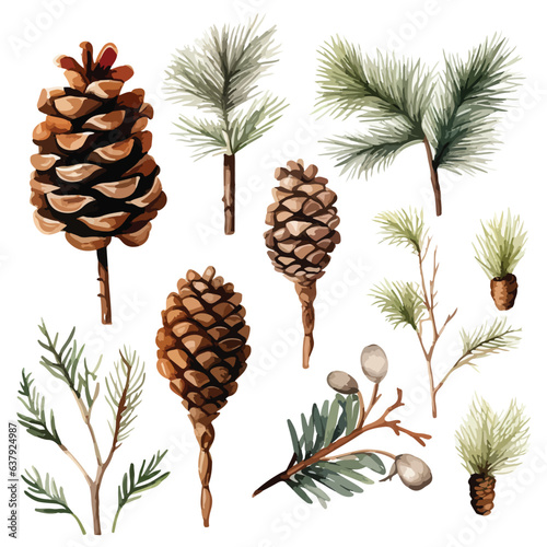 set of water color pine cone and branches elements, hand drawn vector illustration isolated on white background