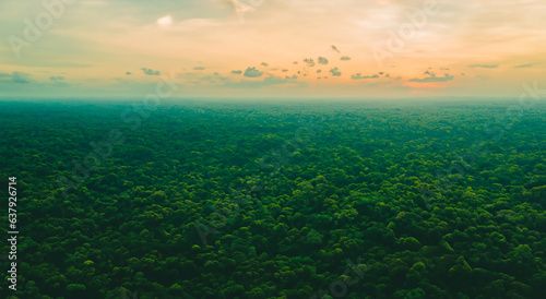 beautiful aerial view of the jungle