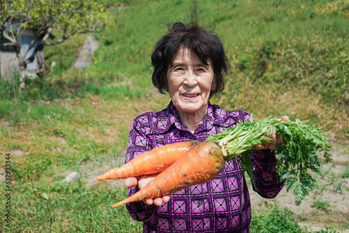 Elderly woman harvesting vegetables