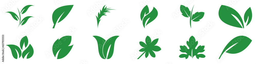 Vector green leaves collection. Set of vector decorative elements.