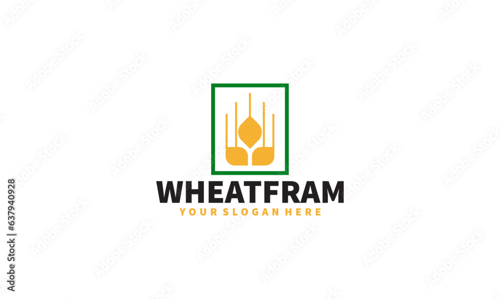 Wheat grain logo design vector. Grain wheat field logo concept  agriculture wheat logo template