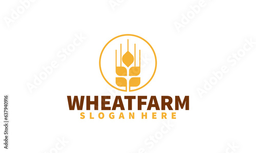 Wheat grain logo design vector. Grain wheat field logo concept  agriculture wheat logo template