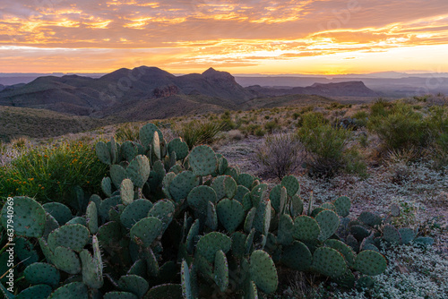 Bild auf Leinwand Big Bend National Park