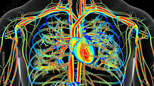 Human heart temperature Warm, normal cold. Man thermographic illustration 3D rendering