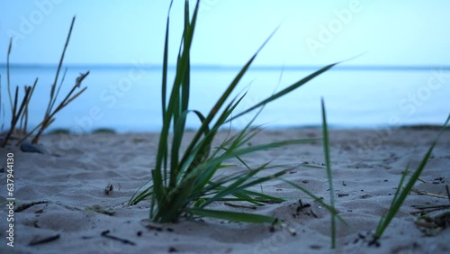 Evening at the Baltic Sea beach.