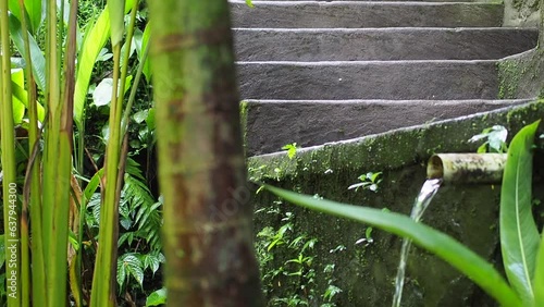 Water from the pipe is poured into a bamboo tube and plays tropical bamboo beats