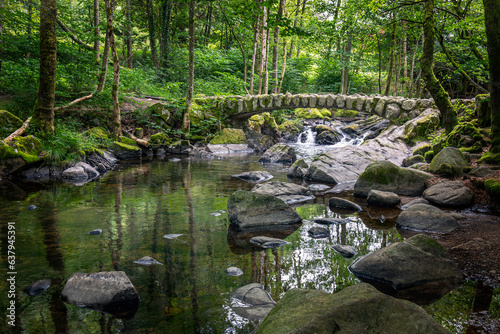 Beautiful stone bridge over the river at the waterfall of 'saut des cuves' close to the town of Xonrupt-longemer in the French Vosges