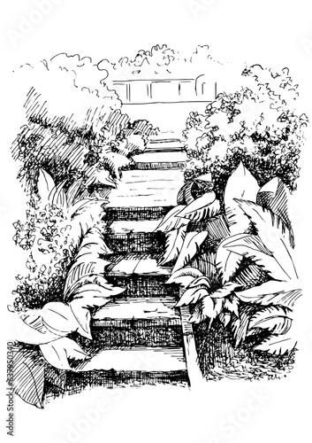 Tropical landscape sketch.  Pen sketch converted to vector drawing