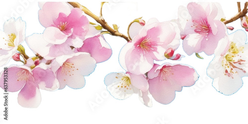 Flowers of the cherry blossoms on a spring day, watercolor
