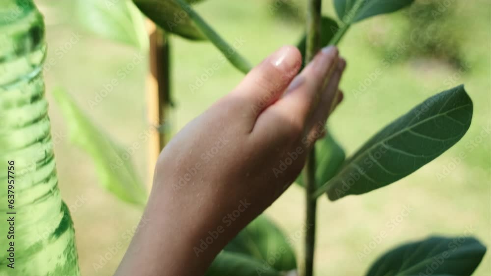 Close up of young female using spray bottle watering and caring plants outdoors at summer sunny day, striving for life balance while running small business. Plant care, gardening, summer concept Close up of young female using spray bottle watering and caring plants outdoors at summer sunny day, striving for life balance while running small business. Plant care, gardening, summer concept
