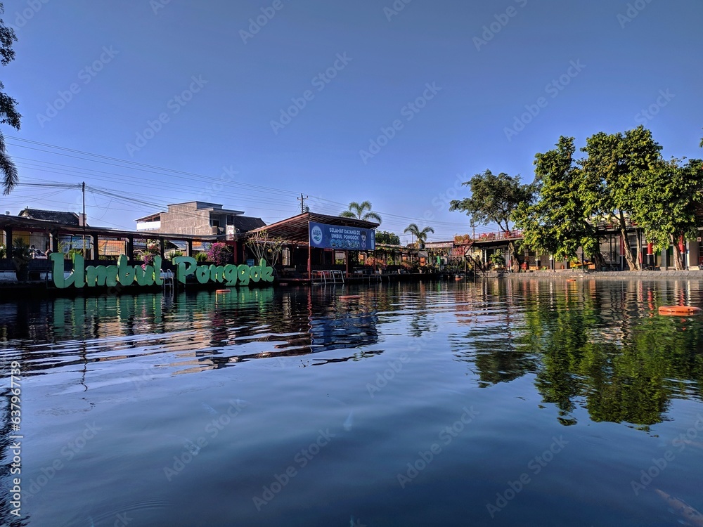 Fototapeta premium Umbul Ponggok is a natural spring water swimming pool. Fresh and clean water