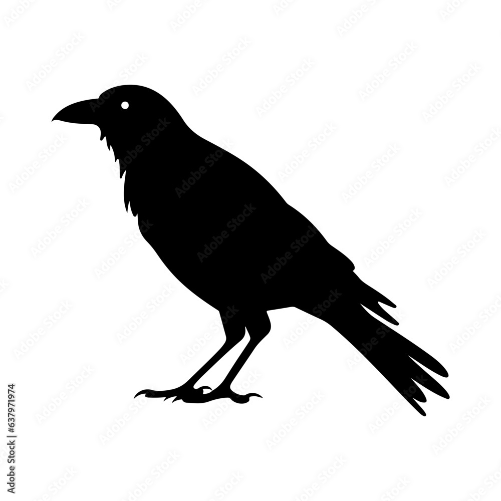 Obraz premium Crow silhouette